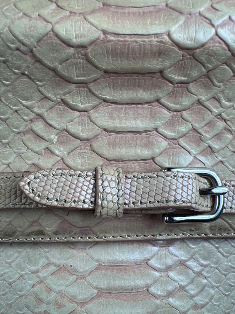 BRAHMIN Vintage Python Embossed Leather Classic Satchel - Silver Hardware - Picture 10 of 17